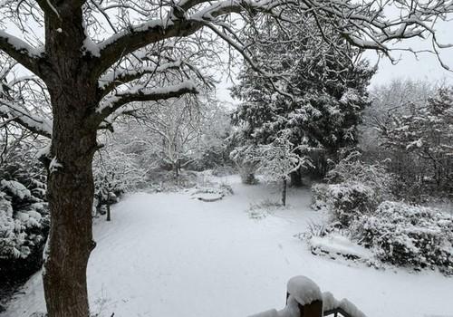Garten im Winter vom WZ