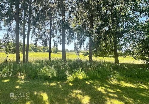 Ausblick hinter dem Garten