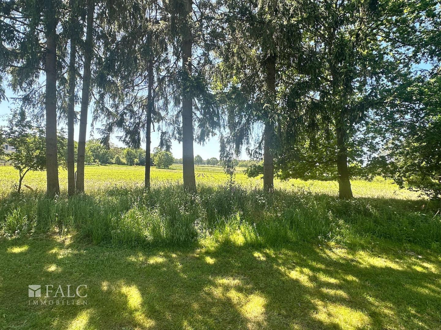 Ausblick hinter dem Garten