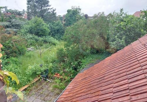 Blick in den Garten OG