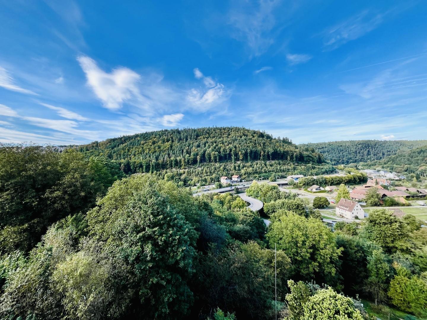 DG Weitblick