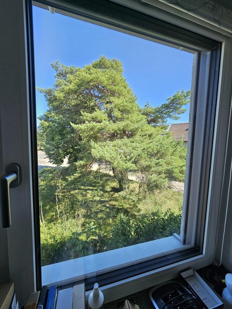 Blick Büro