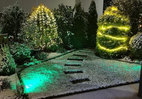 Garten im Winter