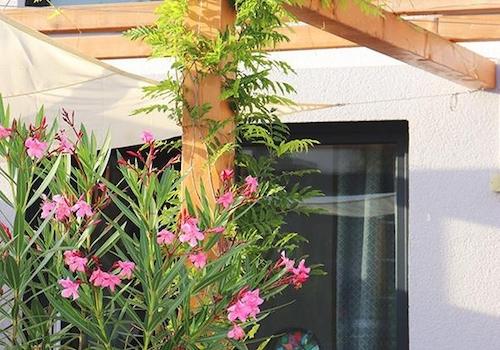 Garten: Pergola /2022