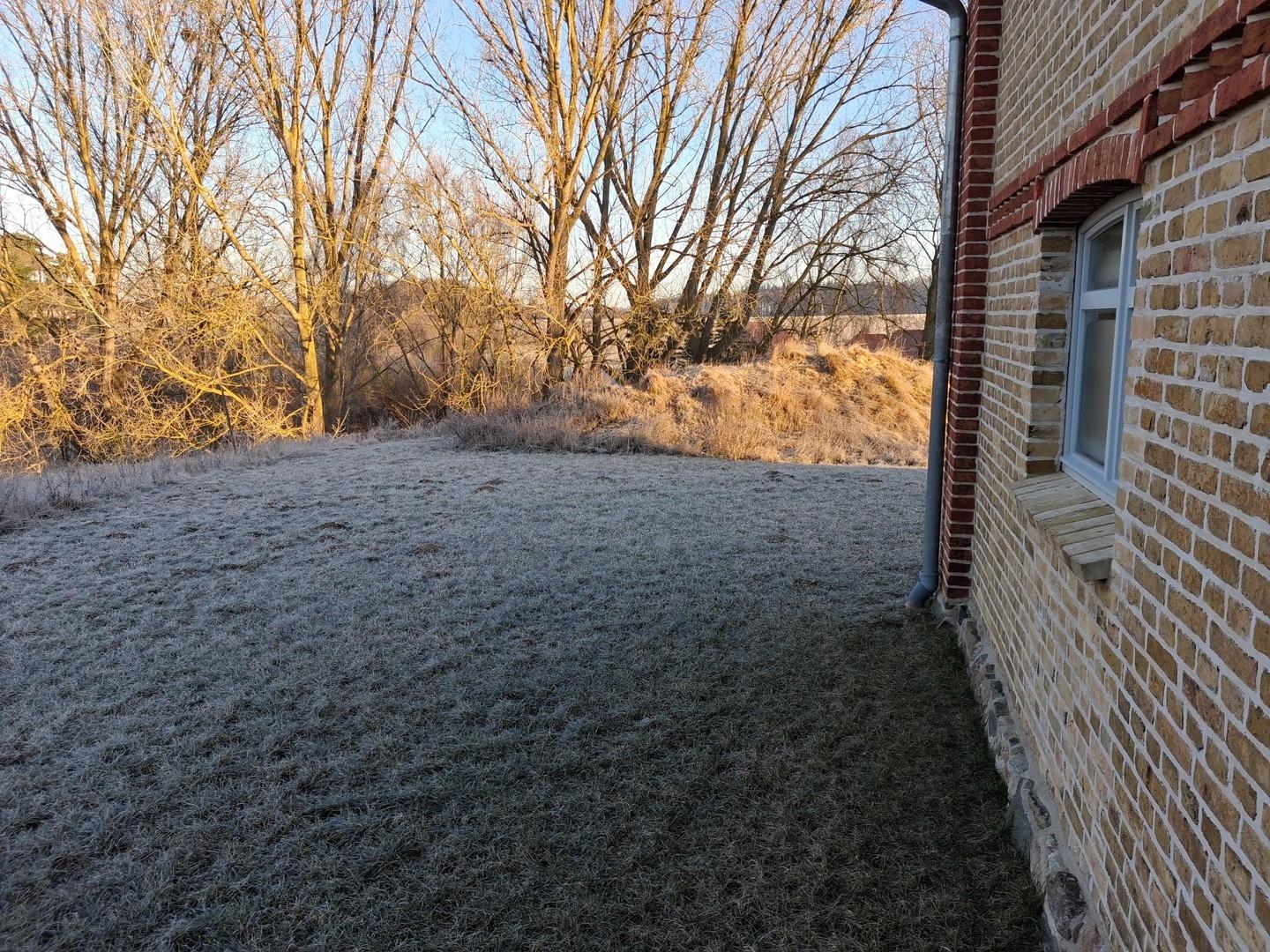 Blick in den Garten