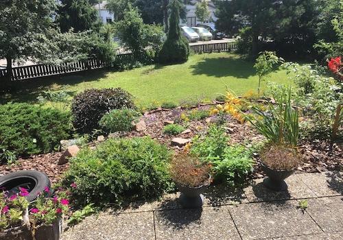 Garten vorne