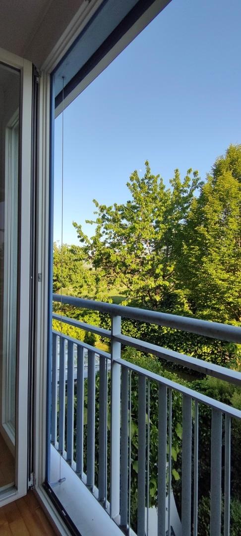 Blick Wohnzimmer/Park