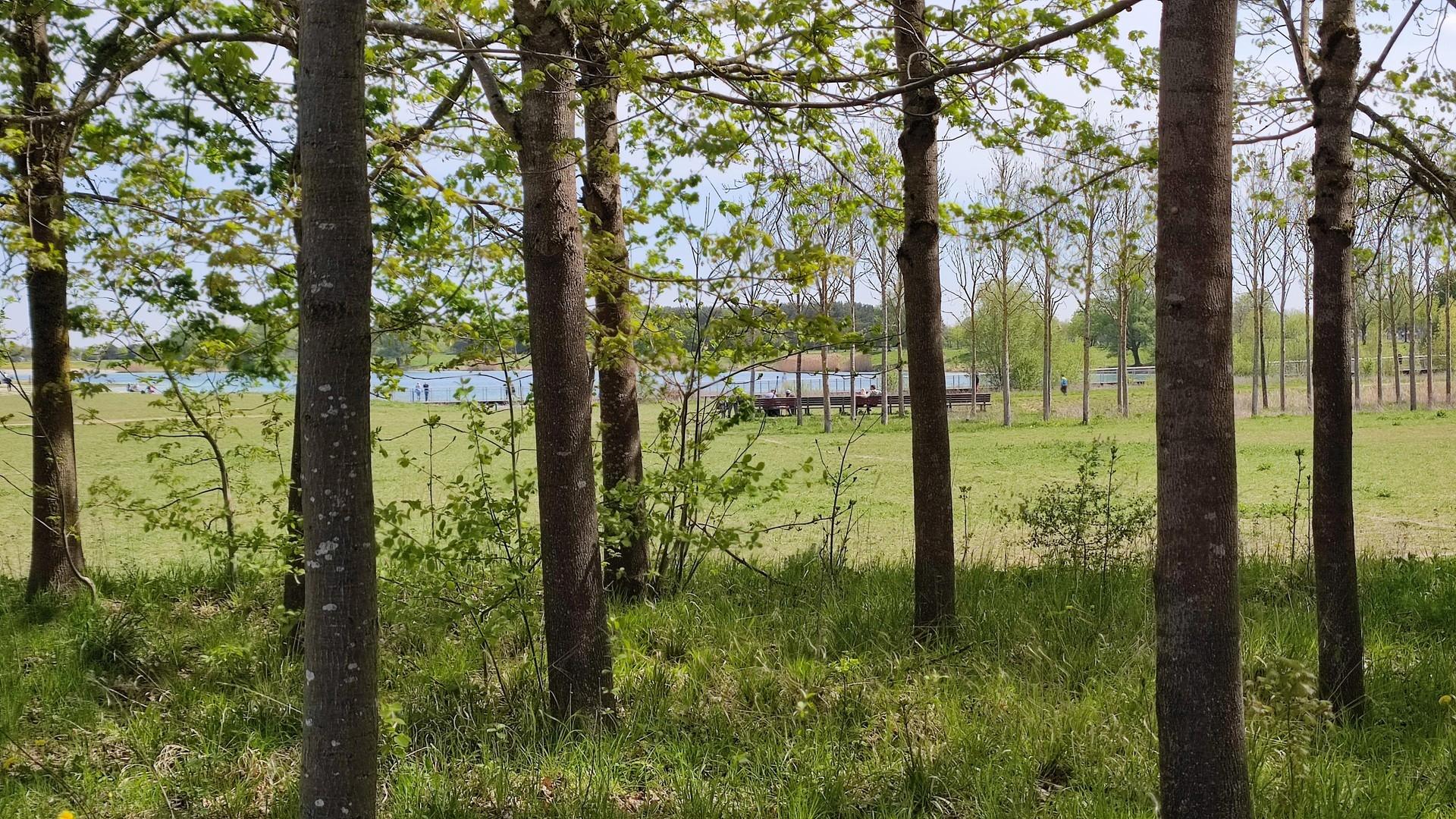 Park