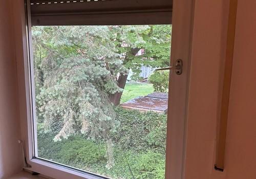 ruhiges SZ ins Grüne, Jalousie