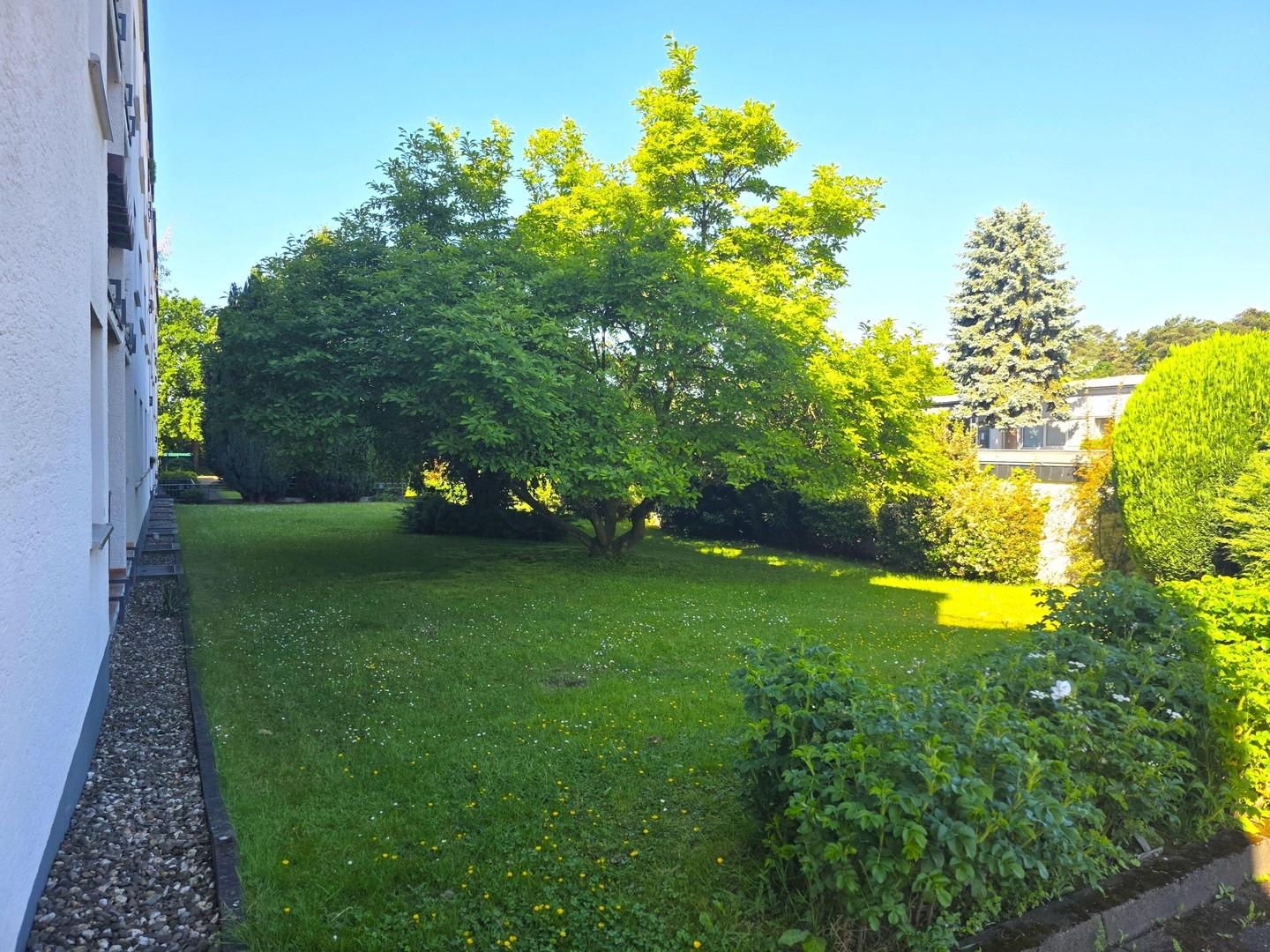 Gartenbereich