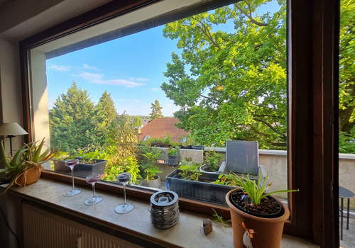 Ausblick Wohnzimmer