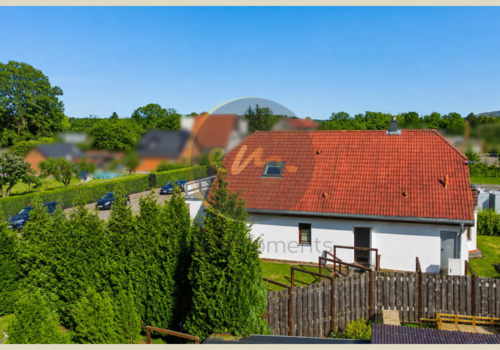 Drohne (Physiotherapiebereich)