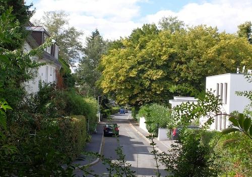Ausblick nach Westen