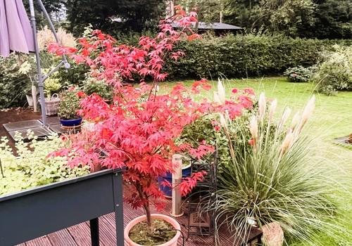 Terrasse Sommer II