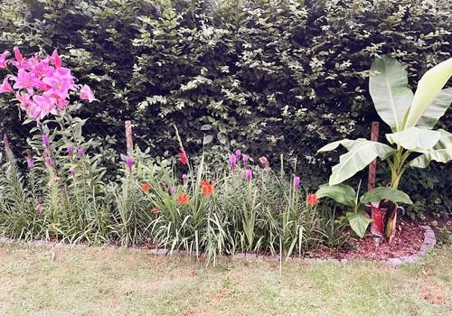 Blumenbeet Sommer
