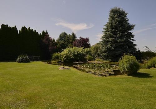 Garten Teich
