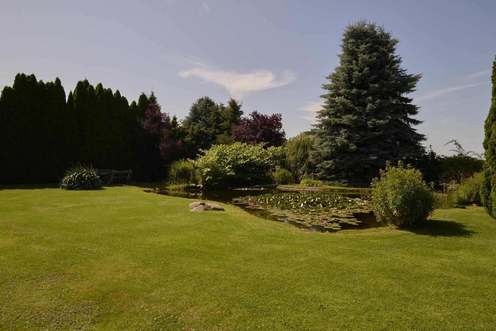 Garten Teich