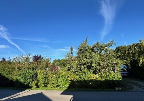 Westblick vom Haus weg