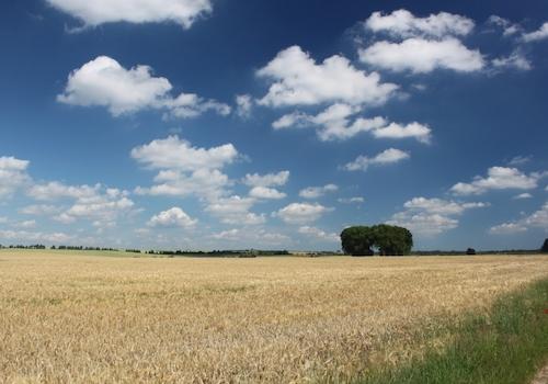 Musterfoto