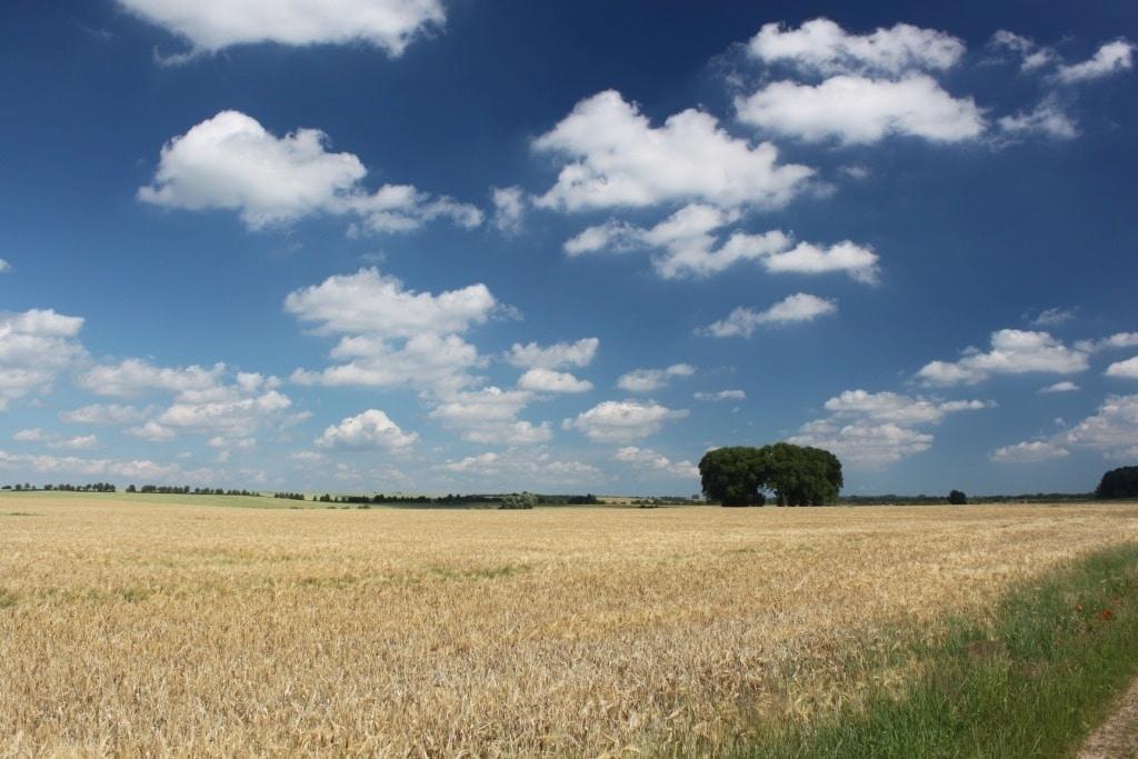 Musterfoto