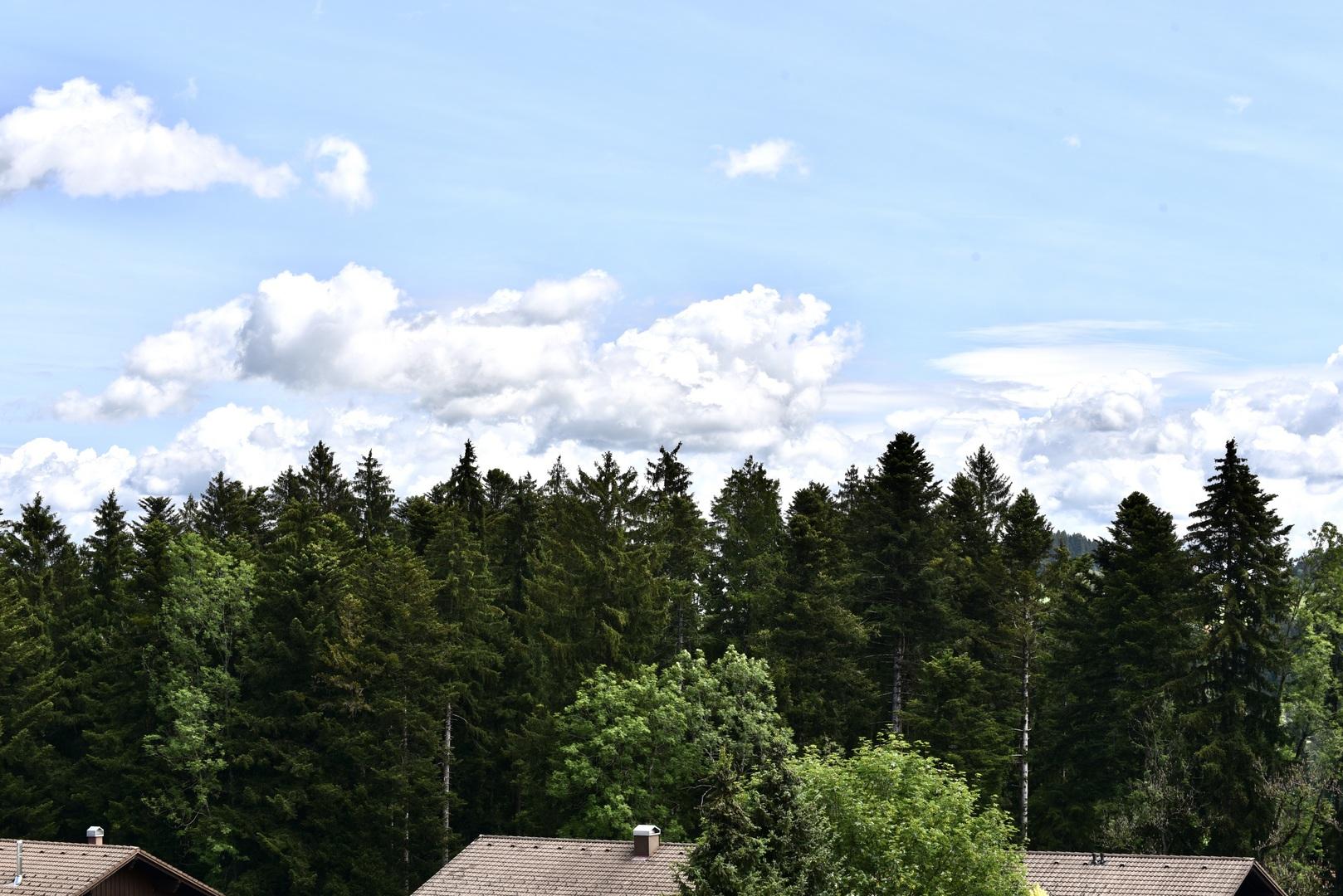 Aussicht