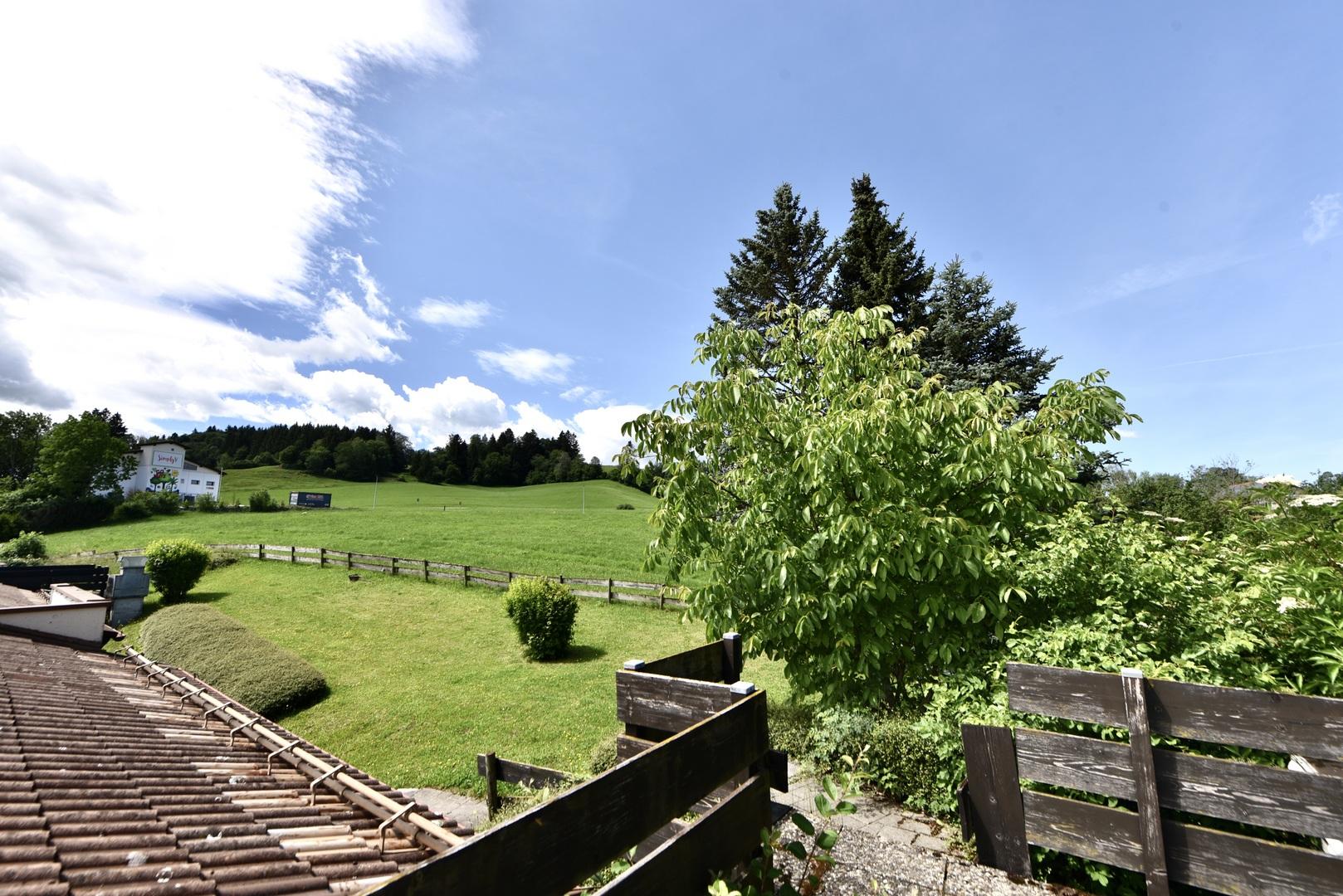 Wiese links hinter dem Gebäude