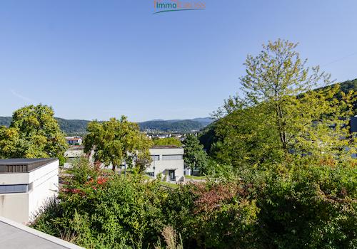 Aussicht auf das Wiesental