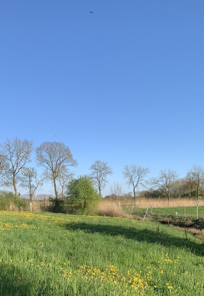 Weidefläche