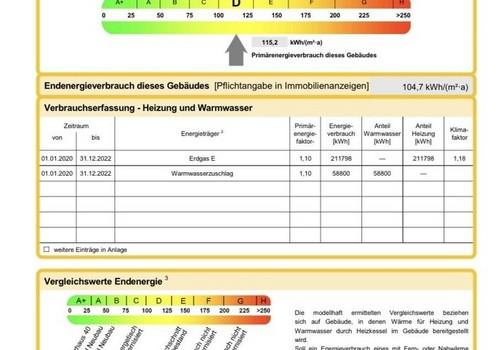Energieausweis Auszug