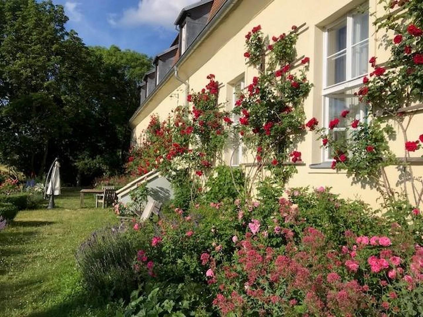 hinten