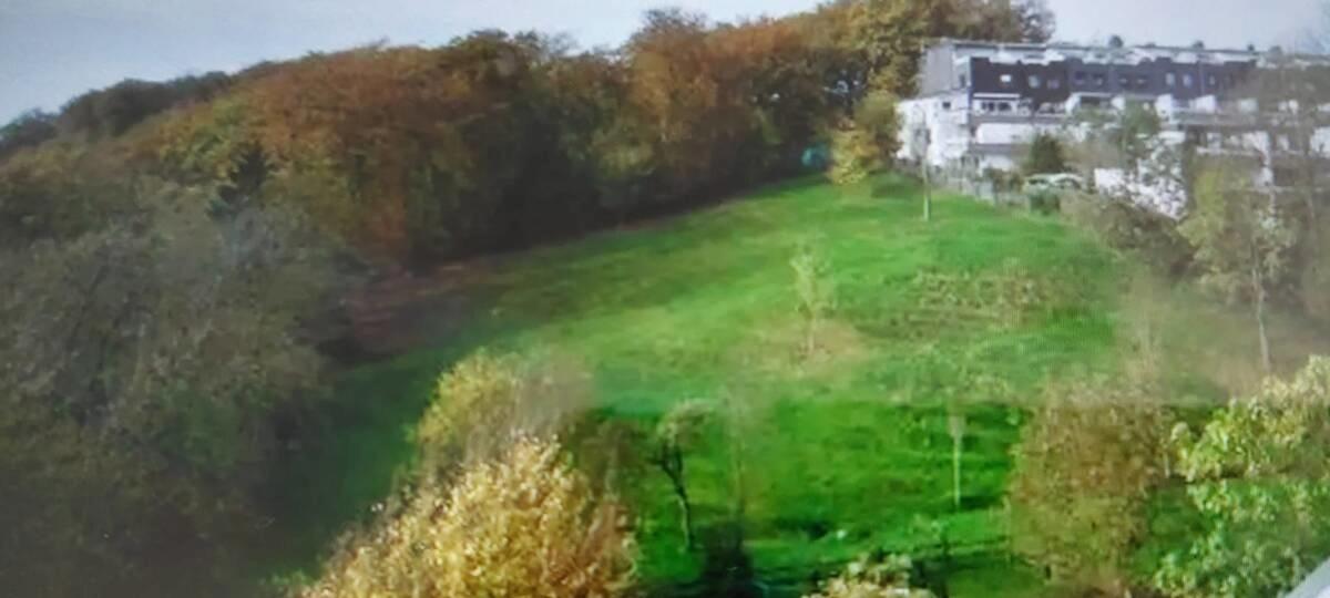 Blick ins Grüne
