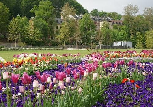 Wohnumfeld direkt am Park