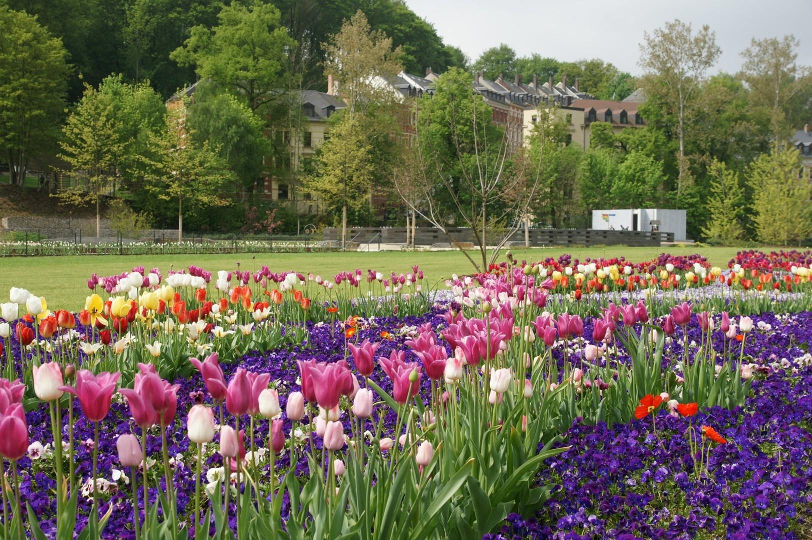 Wohnumfeld direkt am Park