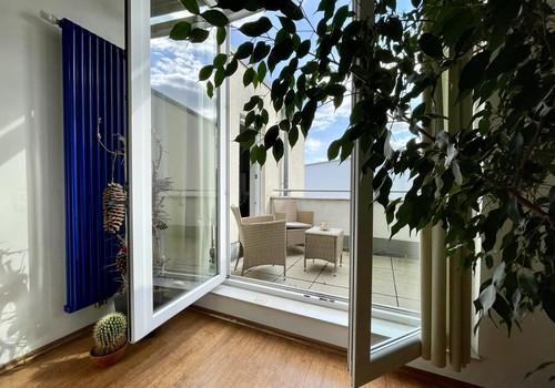 Zugang zur Dachterrasse DG