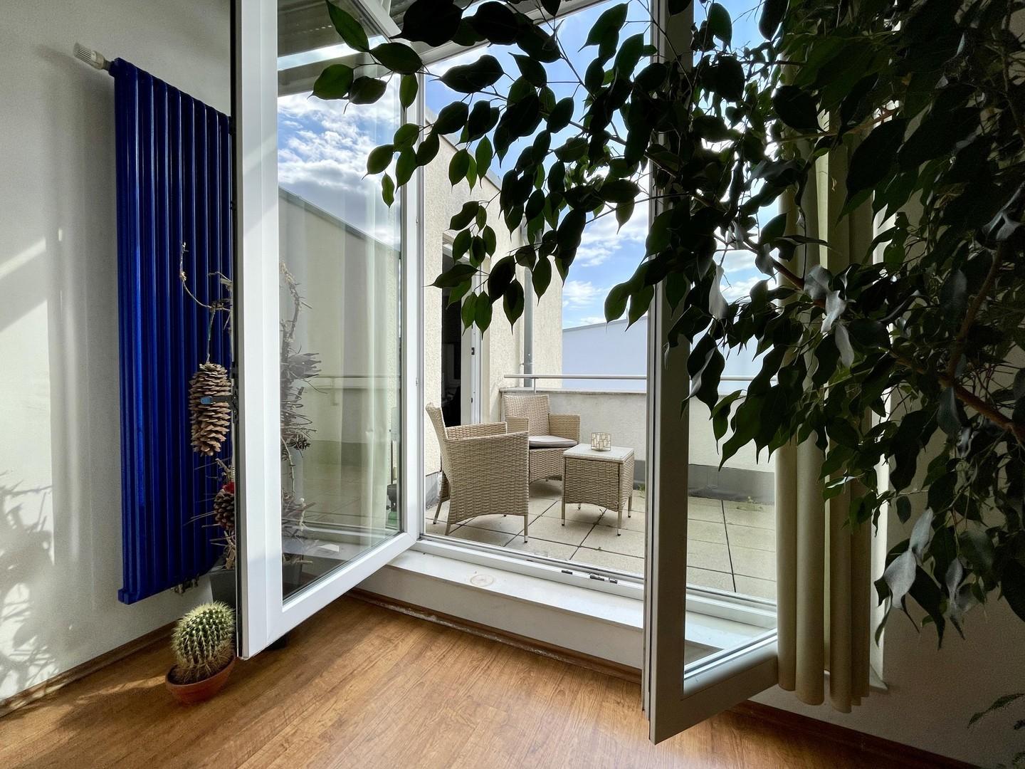 Zugang zur Dachterrasse DG