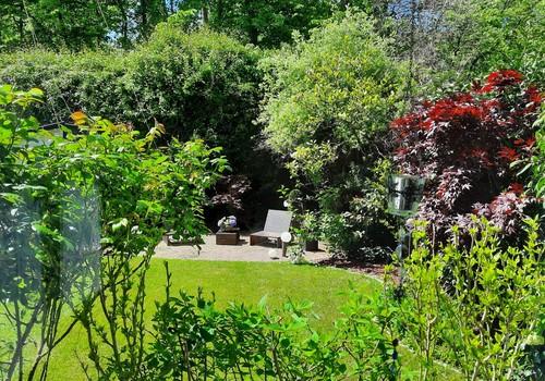 Eingewachsener Garten