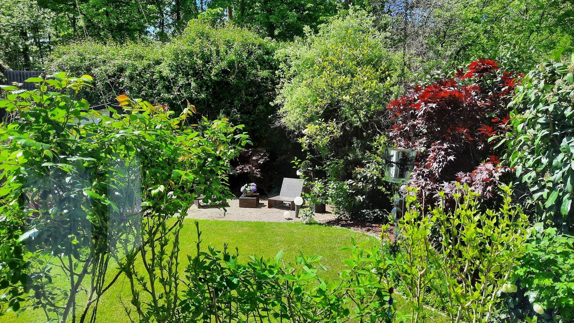 Eingewachsener Garten