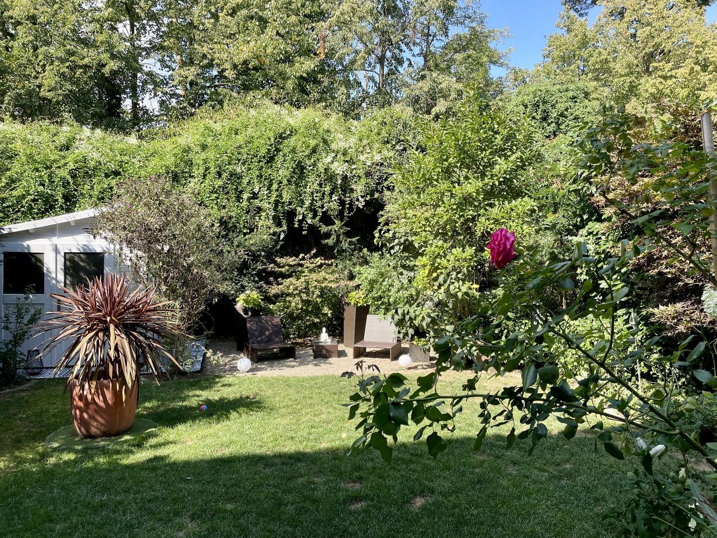 Garten mit Blick in den Wald