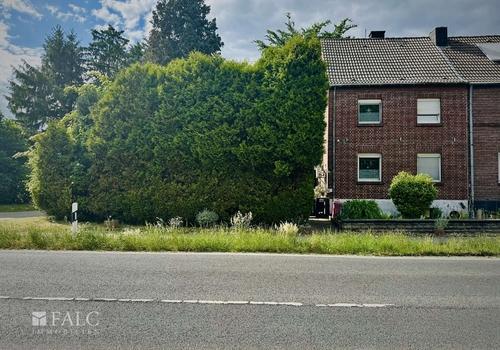 Frontblick