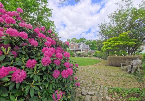 Blüten im Mai 2