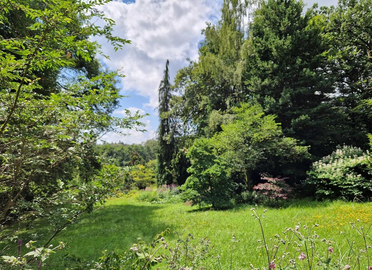 Grundstück Blick Süd-/Südwest