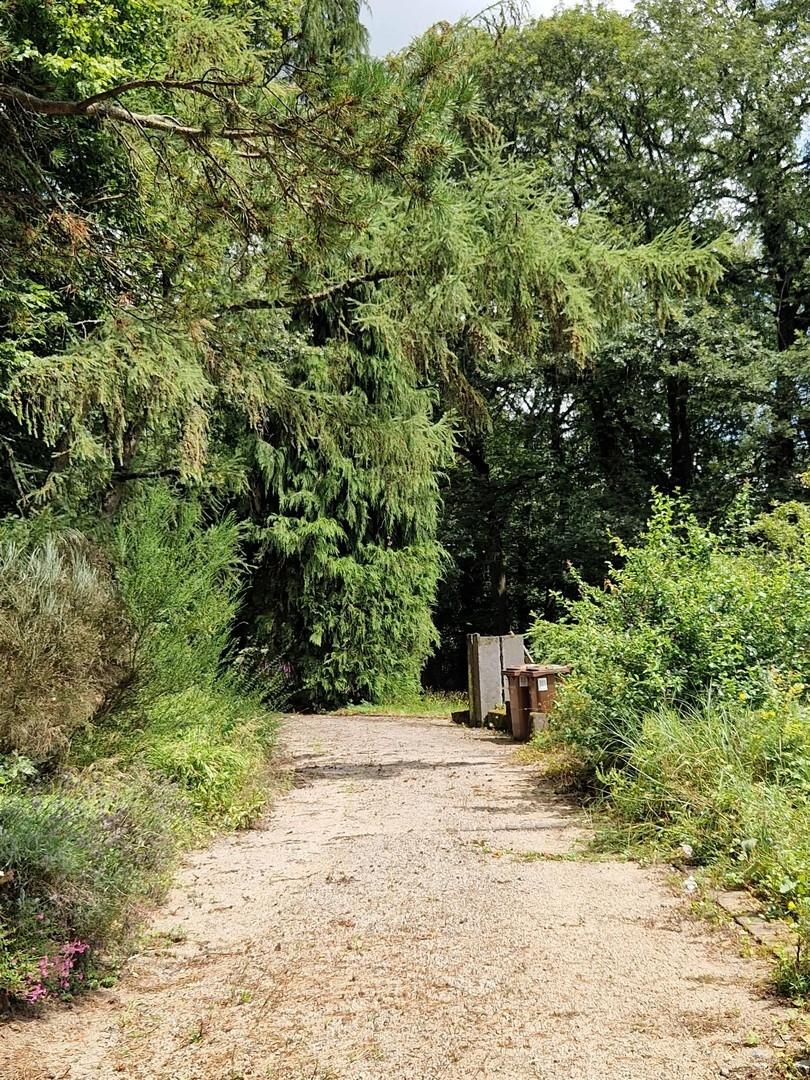 Zufahrtsweg Ansicht 