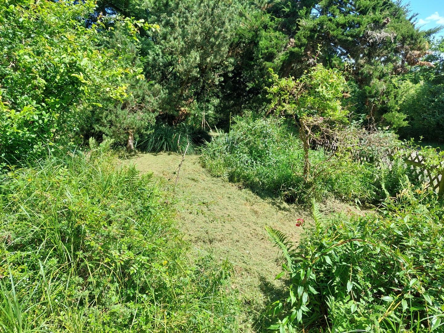 Beflanzung an Viehweideweg