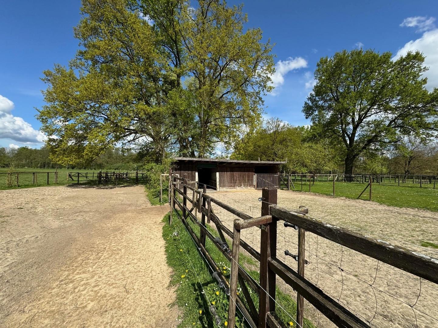 Paddocks für Pferde
