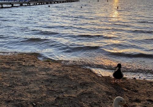 Abenddämmerung am Badestrand