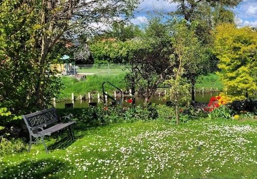 Wiese im Garten