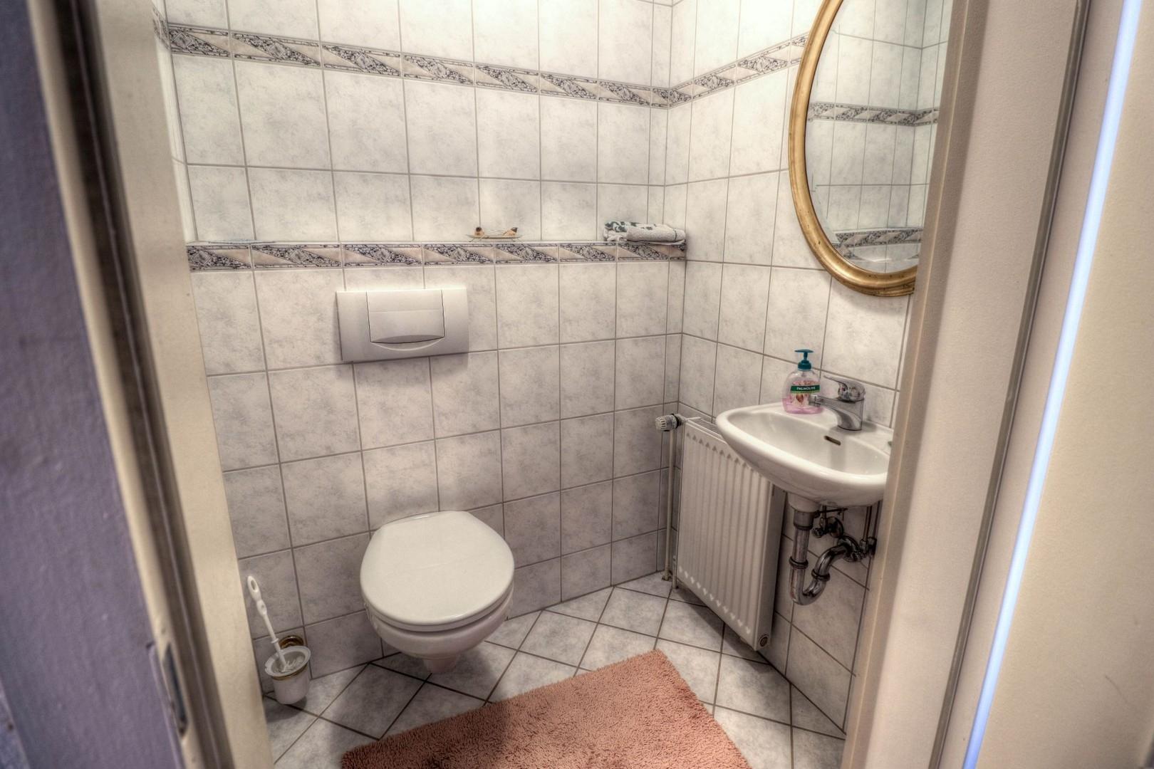 Gäste WC unten