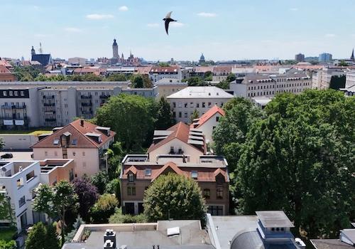 Weitblick über die Villa
