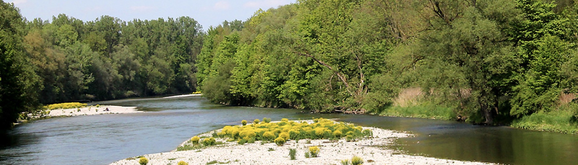 Isarauen
