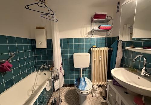 Sanitär